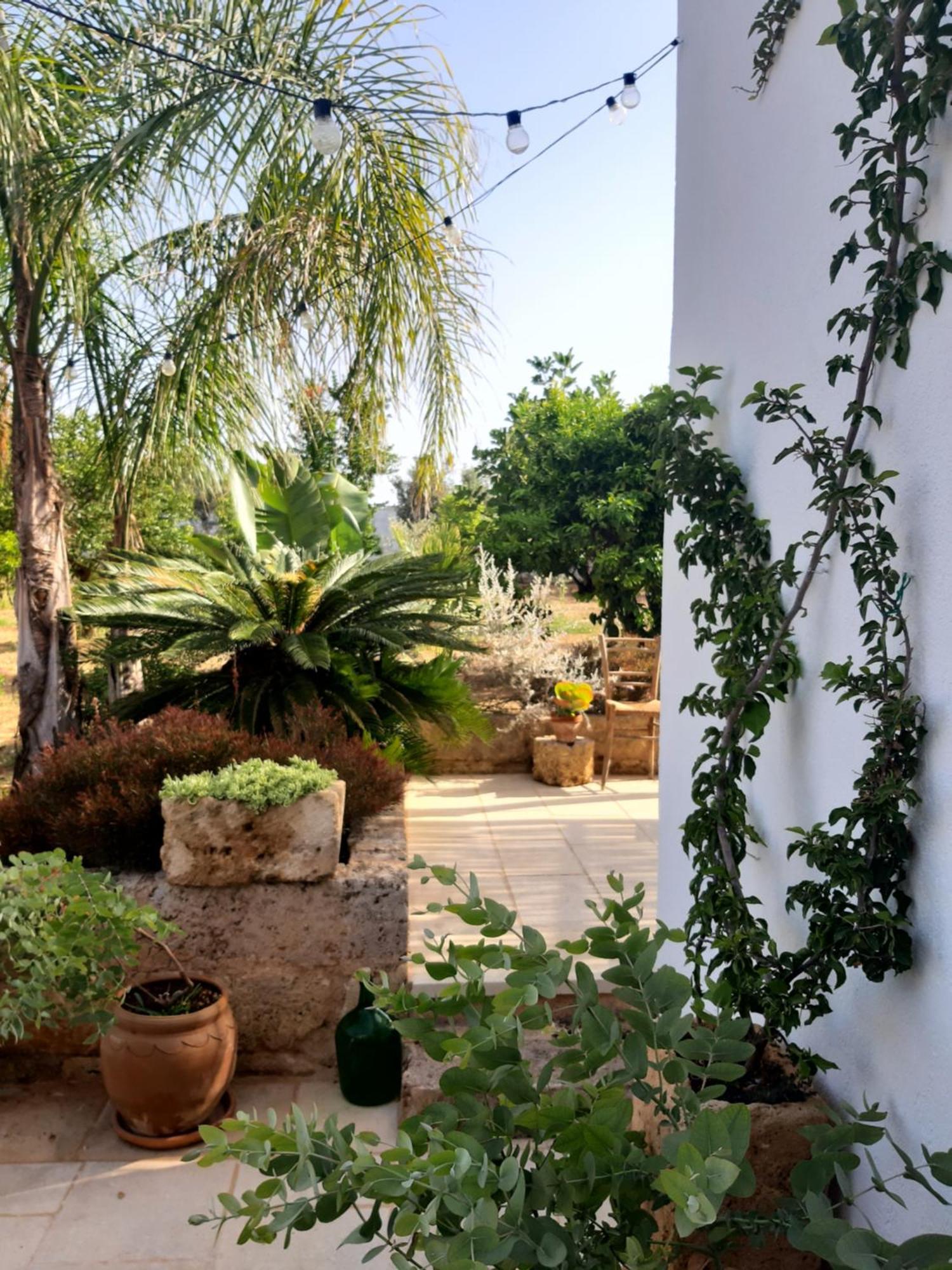 Villa Troisio Torre San Giovanni Ugento Dış mekan fotoğraf